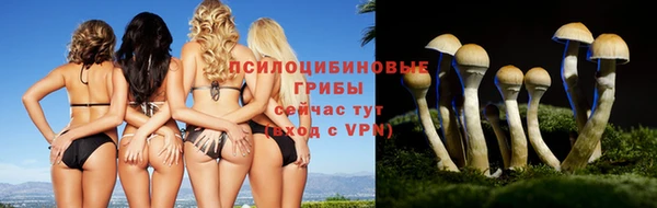 крисы Абинск
