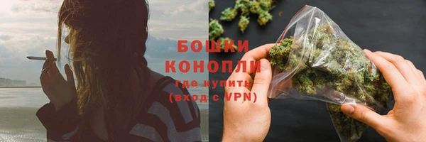ALPHA PVP Новозыбков